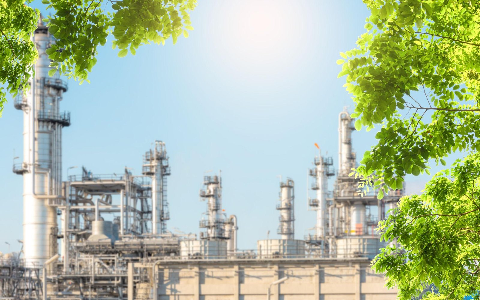 Company sustainability